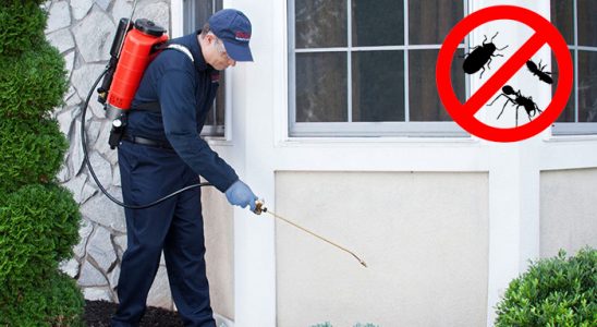 Dulkadiroğlu Akrep İlaçlama böcek ilaçlama ve haşere kontrolü — ilaclama-tr.com